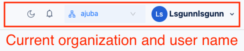 Organization and user name